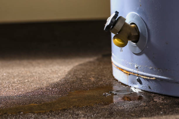 Best Emergency water extraction  in Akron, NY