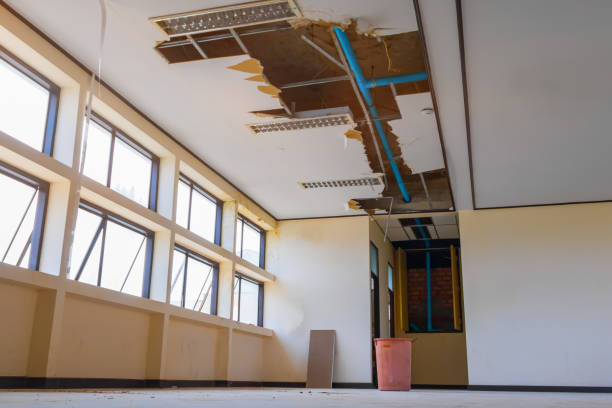 Best Water damage restoration specialists  in Akron, NY