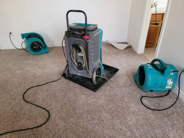 Best Professional water damage repair  in Akron, NY