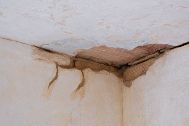 Best Residential water damage restoration  in Akron, NY