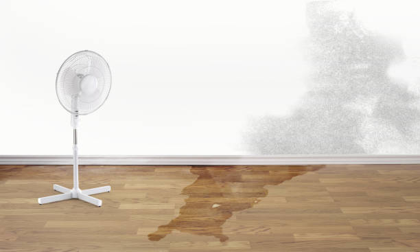 Best Flood restoration services  in Akron, NY