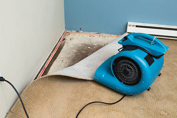 Best Basement water damage restoration  in Akron, NY