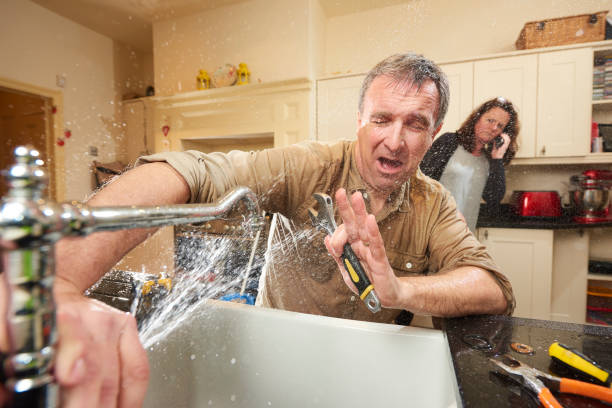 Best Mold removal after water damage  in Akron, NY